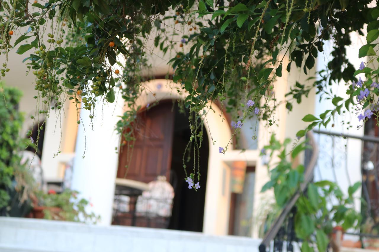 Meryem'S Hotel Agios Epiktitos Eksteriør bilde